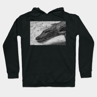 Relaxing Alligator black and white Hoodie